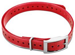 Bild på Garmin Halsband T5 mini - Rött (fyrkantigt spänne)
