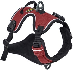 Bild på OllyDog Alpine Reflective Harness valjaat, punainen