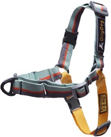 Kuva OllyDog Essential Harness valjaat, harmaa/keltainen