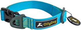 Bild på OllyDog Flagstaff Collar kaulapanta, sininen