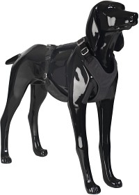 Kuva PAIKKA Visibility Harness koiran valjaat, XL, Dark
