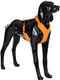 Kuva PAIKKA Visibility Harness koiran valjaat, M-L, oranssi