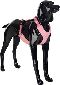 Bild på PAIKKA Visibility Harness koiran valjaat, M-L, Pink