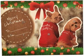 Bild på Treateaters Christmas Calendar Premium koirien joulukalenteri