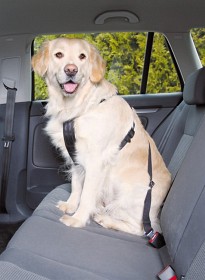Kuva Trixie koiran autovaljaat, 70 - 90 cm