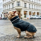 Cloud7 London French Bulldog Dog Raincoat Slate sadetakki ranskanbulldogille