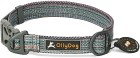 OllyDog  Flagstaff Collar - Repurpose Prism