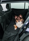 Trixie suoja auton takapenkille 1,55 x 1,30 m, musta