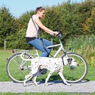 Trixie Cykel- & Jogginglina M Expander 25 mm /1-2 m